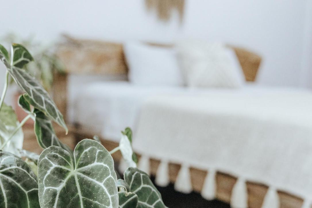 Bed and Breakfast Surf & Yoga Bali Dalung  Esterno foto